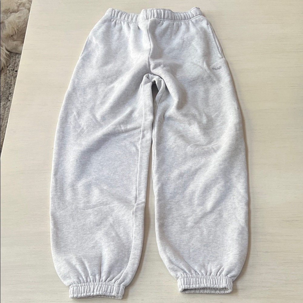 Aritzia Cozy Sweatfleece Mega Jogger